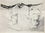 6/48-DD-1982-012_Pie