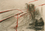 7/40-DD-1988-009_En-