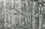 3/4-DR-1991-002_Rec