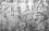6/15-DR-1997-002_Rec
