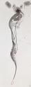 5/15-DD-1998-009_Des