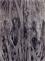6/10-DR-1999-032_Rec