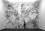 9/9-MM-2004-001_Et-