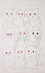 2/41-DD-2004-021_Fai