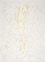 2/27-DD-2007-004_No-