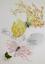8/49-DD-2013-030_Qua