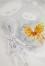 7/49-DD-2013-031_Qua