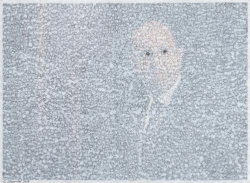 Christian lhopital