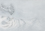 3/83-DD-2017-033_Vib