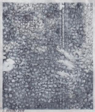 Christian lhopital