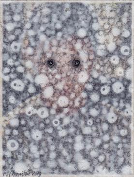 Christian lhopital