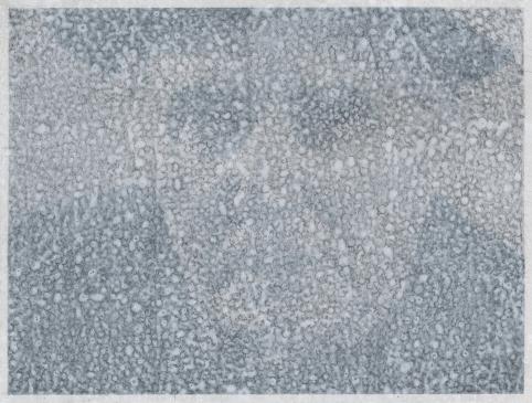 Christian lhopital