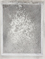 4/104-DD-2024-039_Myr