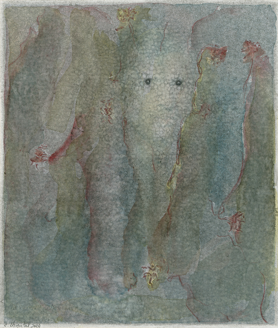 DR-2024-040_Nocturne_21